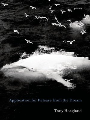 cover image of Application for Release from the Dream